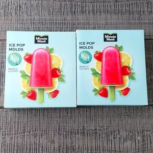 Minute Maid Ice Pop Molds.